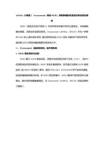 AbMole小課堂丨Trastuzumab：靶向 HER2 的多維作用機(jī)制及科研應(yīng)用詳解