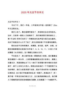 2025年元旦節(jié)目作文