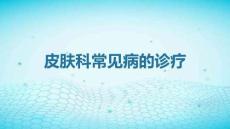 醫(yī)院培訓(xùn)課件：《皮膚科常見病的診療》