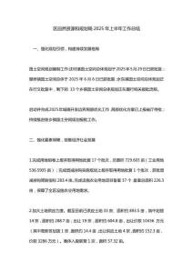 區自然資源和規劃局2025年上半年工作總結