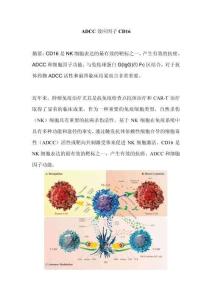ADCC效應因子CD16