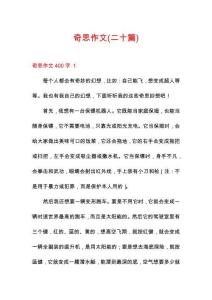 奇思作文(二十篇)