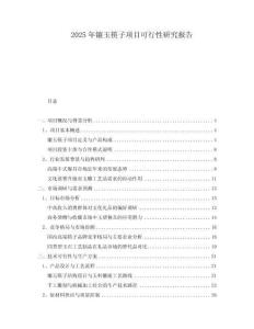 2025年鑲玉筷子項目可行性研究報告