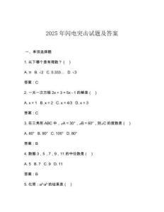 2025年閃電突擊試題及答案