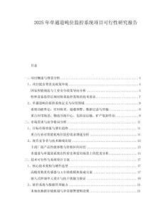 2025年單通道噸位監(jiān)控系統(tǒng)項(xiàng)目可行性研究報(bào)告