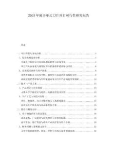 2025年廚房單刃刀片項(xiàng)目可行性研究報(bào)告