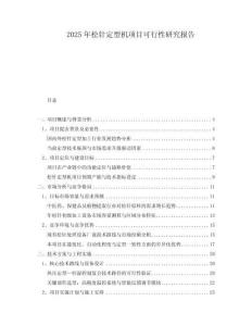 2025年松針定型機(jī)項(xiàng)目可行性研究報(bào)告