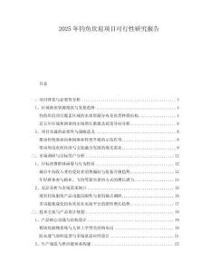 2025年釣魚坎肩項(xiàng)目可行性研究報(bào)告
