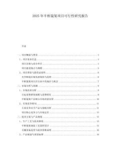 2025年半框鏡架項目可行性研究報告