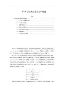 CoAP協(xié)議屬性格式分析概述3600字
