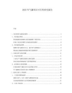 2025年氣罐項(xiàng)目可行性研究報(bào)告