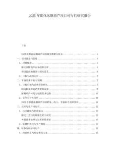 2025年膨化冰糖葫蘆項目可行性研究報告