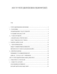 2025年中國多功能帶餡面條機市場調查研究報告