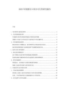 2025年預緊吊卡項目可行性研究報告
