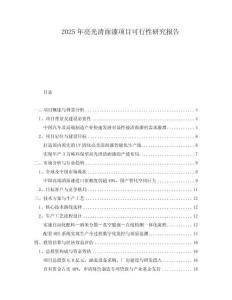 2025年亮光清面漆項目可行性研究報告