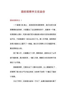 蒜的觀察作文優(yōu)選份