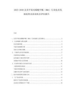 2025-2030北美甲基丙烯酸甲酯（MMA）行業技術發展趨勢及商業機會評估報告