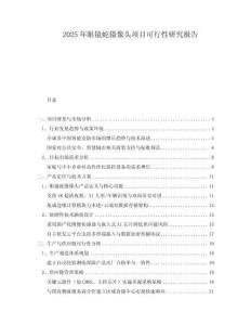 2025年眼鏡蛇攝像頭項(xiàng)目可行性研究報告