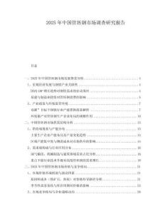 2025年中國管坯鋼市場調查研究報告