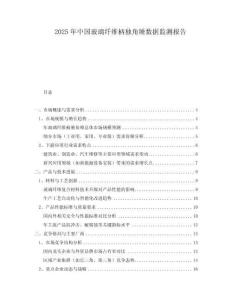 2025年中國玻璃纖維柄獨角錘數據監測報告