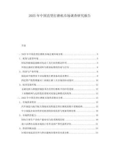 2025年中國直型打磨機(jī)市場調(diào)查研究報(bào)告