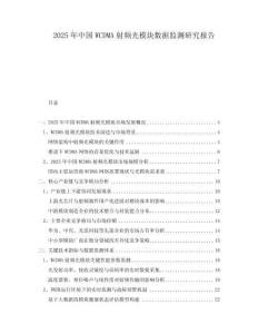 2025年中國WCDMA射頻光模塊數據監測研究報告