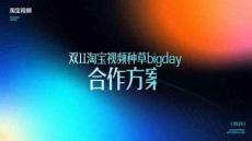 2025年雙11淘寶視頻種草bigday合作方案