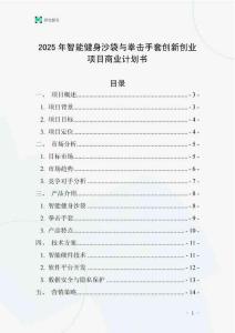 2025年智能健身沙袋與拳擊手套創(chuàng)新創(chuàng)業(yè)項(xiàng)目商業(yè)計(jì)劃書