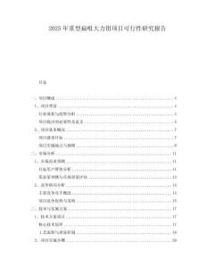 2025年重型扁咀大力鉗項目可行性研究報告