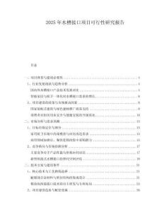 2025年水槽接口項(xiàng)目可行性研究報(bào)告