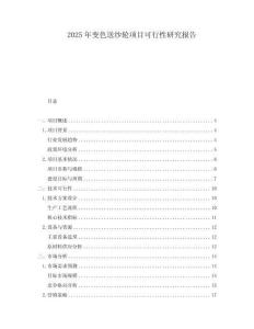 2025年變色送紗輪項目可行性研究報告