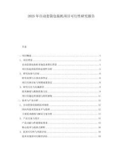 2025年自動套袋包裝機項目可行性研究報告