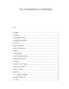 2025年異形板簧項(xiàng)目可行性研究報(bào)告