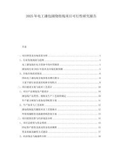 2025年電工漆包圓繞組線項目可行性研究報告