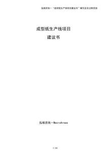成型紙生產線項目建議書（模板）