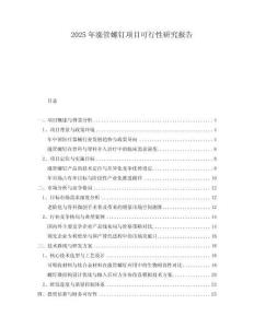 2025年漲管螺釘項(xiàng)目可行性研究報告