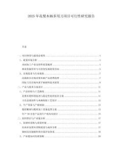 2025年花梨木柄多用刀項(xiàng)目可行性研究報(bào)告