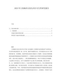 2025年六角柄沖擊鉆頭項(xiàng)目可行性研究報(bào)告