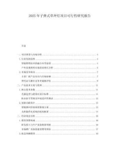 2025年子彈式草坪燈項(xiàng)目可行性研究報(bào)告