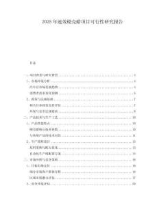 2025年速效硬壳蜡项目可行性研究报告