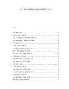 2025年環(huán)形試塊項目可行性研究報告