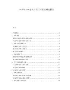 2025年DVR超軟料項目可行性研究報告