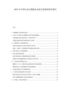 2025年中國污水污物潛水電泵市場調(diào)查研究報告