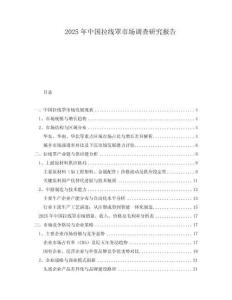 2025年中國拉線罩市場調(diào)查研究報告