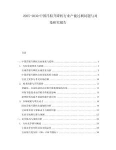 2025-2030中國浮船升降機行業(yè)產(chǎn)能過剩問題與對策研究報告