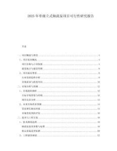 2025年單級(jí)立式軸流泵項(xiàng)目可行性研究報(bào)告