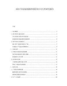 2025年原裝紙路搓紙輪項目可行性研究報告