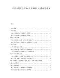 2025年膨脹石墨復(fù)合增強片項目可行性研究報告