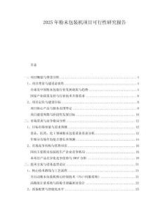 2025年粉末包裝機項目可行性研究報告