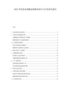 2025年特效亞硝酸鹽降解劑項(xiàng)目可行性研究報(bào)告